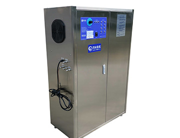 分體式大型臭氧設(shè)備